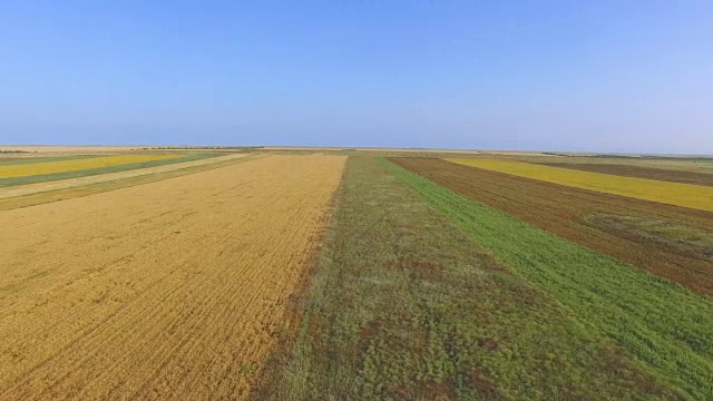 农田有不同的农作物类型，航拍视频视频素材