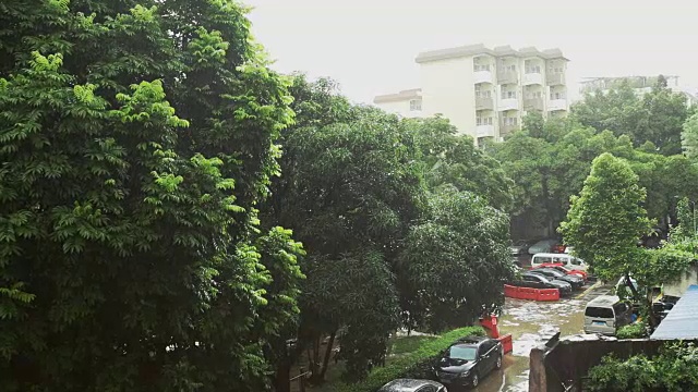 热带雨降雨;现场的声音;替身拍摄;视频素材