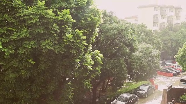 热带雨降雨;现场的声音;替身拍摄;视频素材