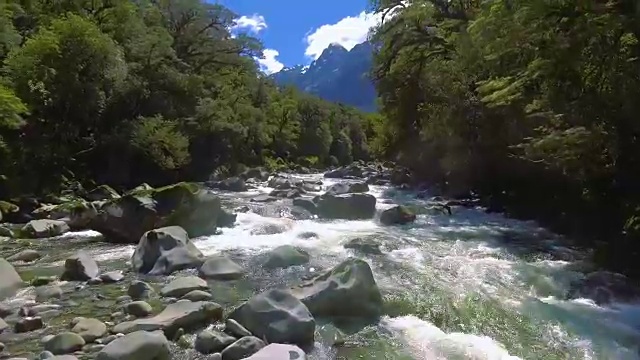 新西兰米尔福德海湾附近图托科河峡湾的空中景观视频素材