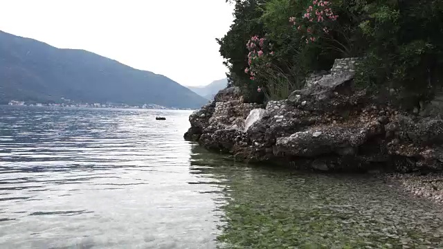 美丽的岩石海岸夹竹桃树和干净的透明的海洋-海洋和海岸概念视频背景视频下载