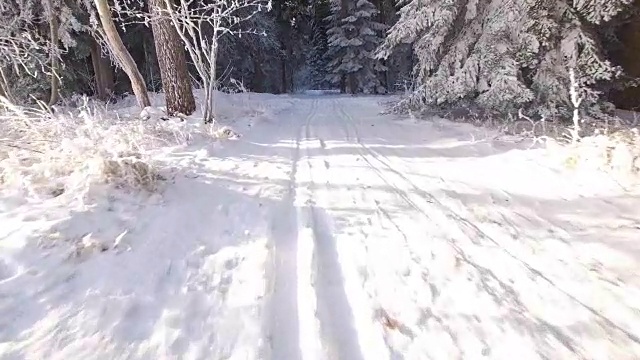 冬天的风景在黑森林，德国视频素材