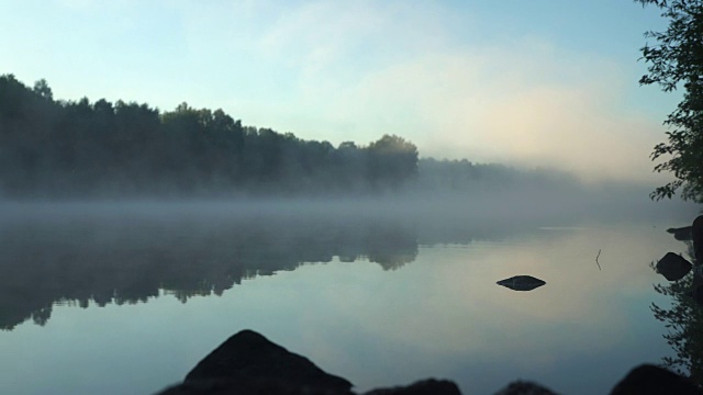 河上雾蒙蒙的早晨，第一缕阳光。平静的水。森林里的距离。生态概念、自然环境、春夏季节视频素材