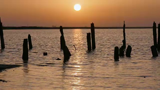 夕阳下金色湖面上的废弃木码头视频素材