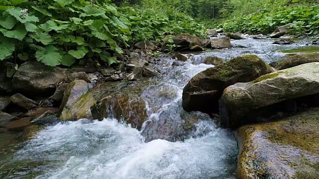 喀尔巴阡山脉美丽的河流视频素材