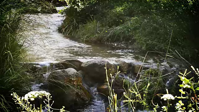 山有河，水有水。视频素材