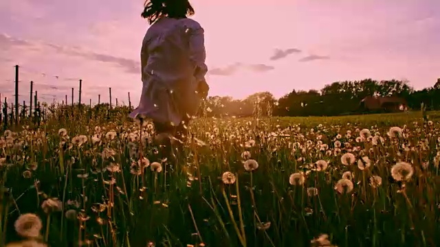 小女孩在夕阳下跑过蒲公英视频素材