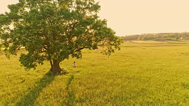 空中女子在乡村的一棵树上荡秋千视频素材