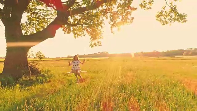 空中女郎在草地上的一棵树上荡秋千视频素材