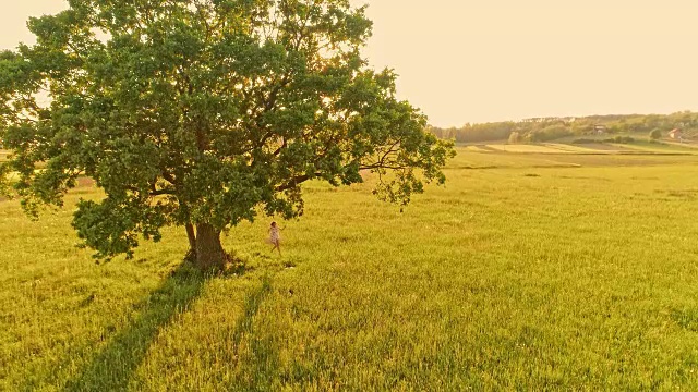 空中女子在乡村的一棵树上荡秋千视频素材