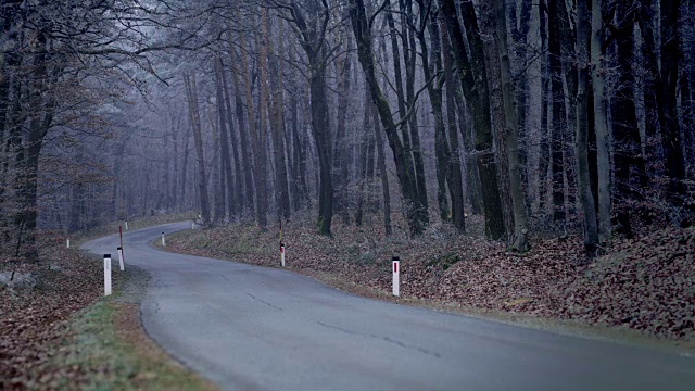 穿过森林的冬季道路视频素材