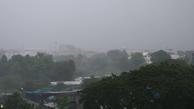 雨季的大雨视频素材