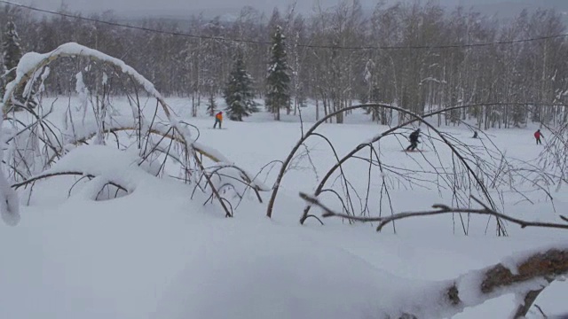 冰冻的分支。冬天雪树的树枝。冬季森林视频素材