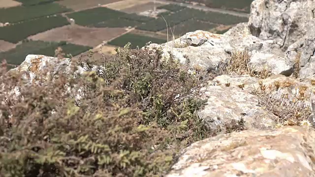 布什紧贴在以色列的阿贝尔山的悬崖边视频素材