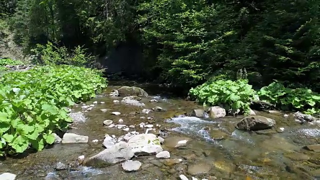 喀尔巴阡山脉美丽的河流视频素材