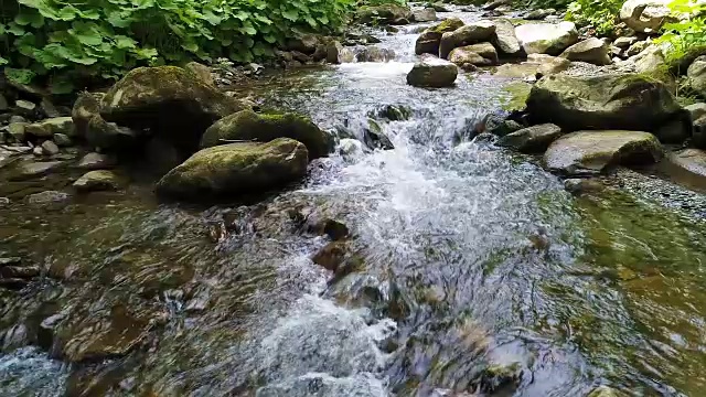 喀尔巴阡山脉美丽的河流视频素材