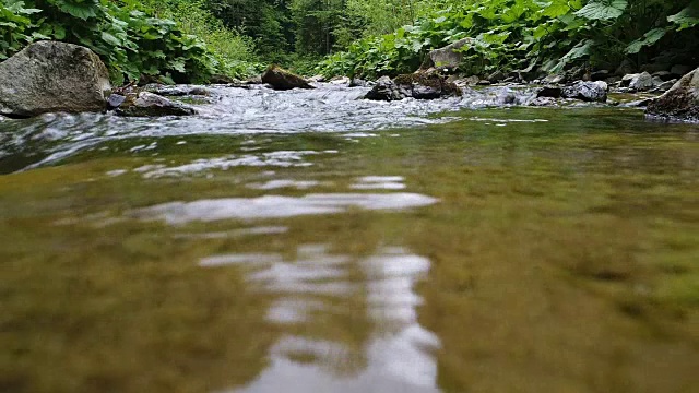 喀尔巴阡山脉美丽的河流视频素材