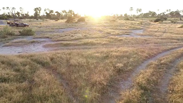 鸟瞰图一辆游猎汽车通过奥卡万戈三角洲的灌木丛视频素材