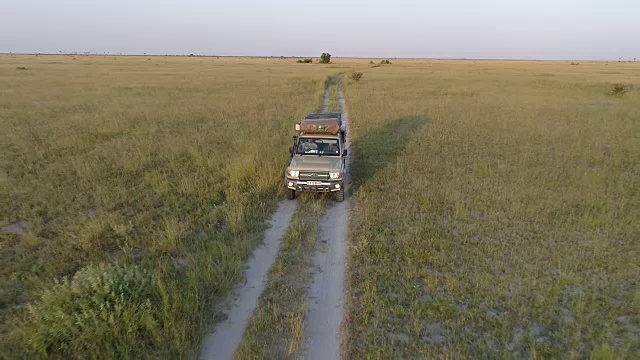 空中跟踪拍摄的狩猎车辆通过博茨瓦纳的草原视频素材