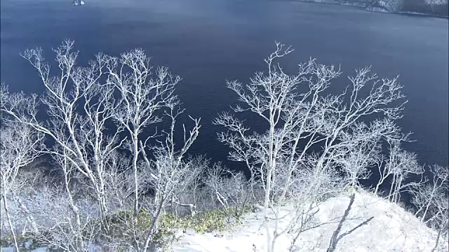 日本北海道湖岸上的雾凇视频素材