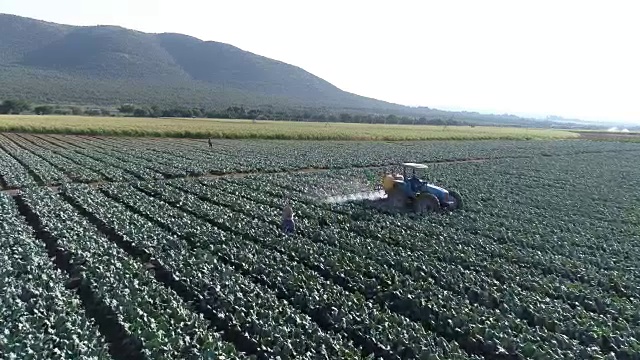 农民使用数字平板电脑的鸟瞰图和监测拖拉机在农作物上喷洒农药视频素材