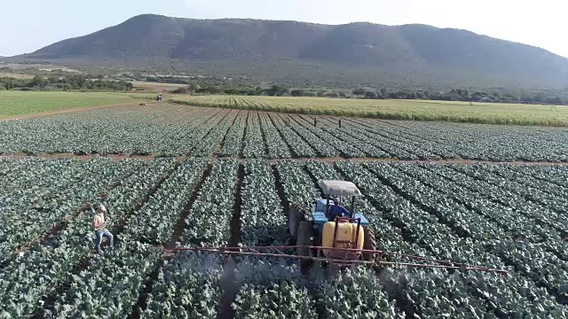 农民使用数字平板电脑的鸟瞰图和监测拖拉机在农作物上喷洒农药视频素材