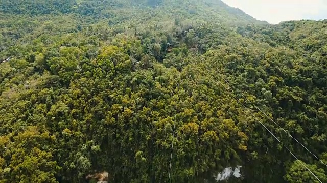 在菲律宾保和岛的丛林里的吸引人的滑索视频素材