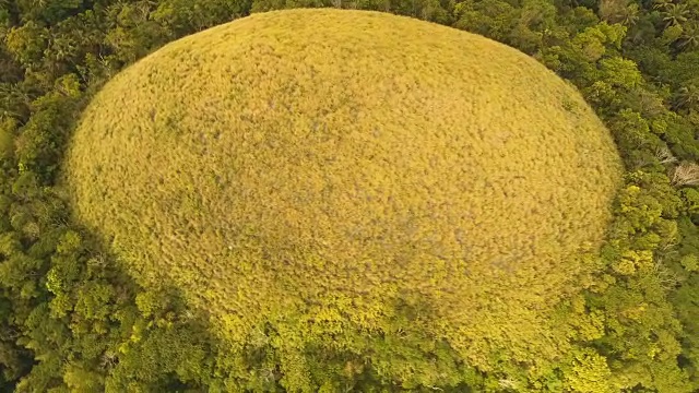 巧克力山在保和，菲律宾，鸟瞰图视频素材