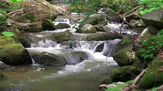 森林中的山涧，包括声音视频素材