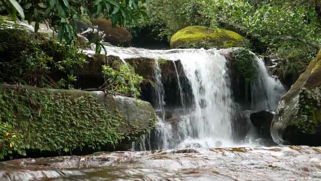 森林中的淡水瀑布视频素材