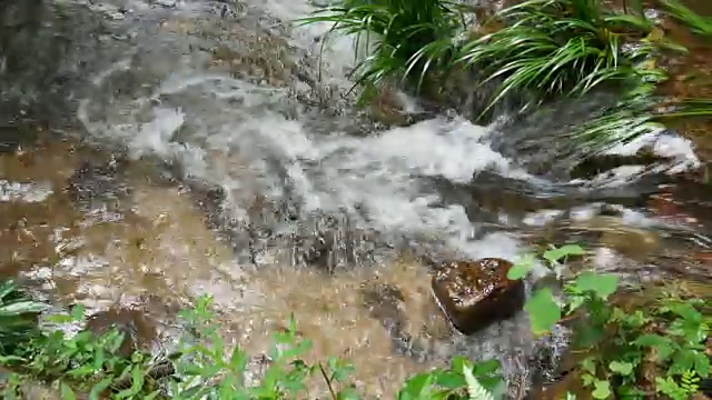 热带气流的瀑布视频素材