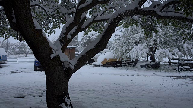 雪域住宅景观背景板视频素材