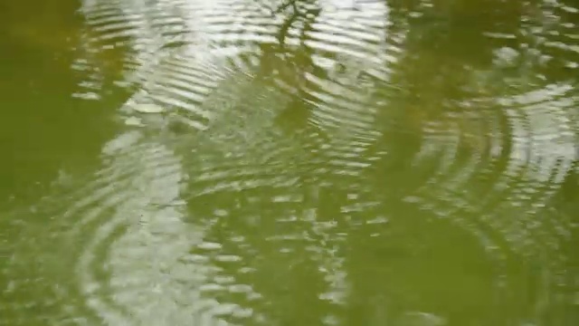 雨滴荡漾，蔓延视频素材