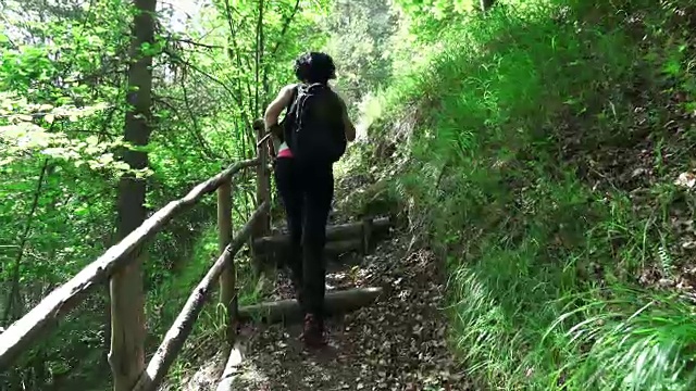 在热带雨林中徒步旅行的妇女。后视图的年轻女性徒步旅行者徒步与背包。生活积极的生活方式视频素材