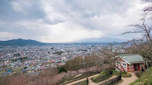 富士山的春天，藤吉田，日本视频素材