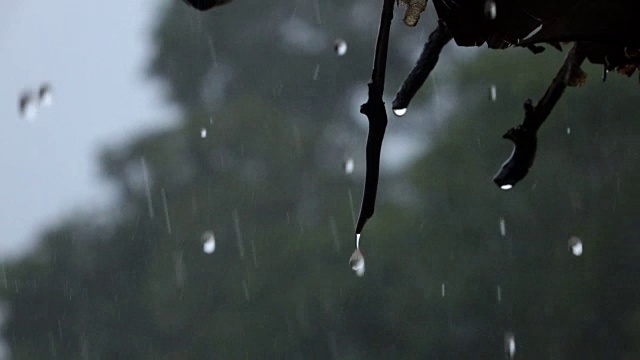 雨滴慢动作视频素材