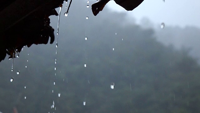 雨滴慢动作视频素材