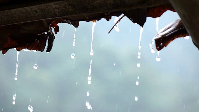 雨滴慢动作视频素材