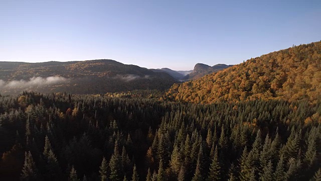 鸟瞰图的秋天景观自然，魁北克，加拿大视频素材