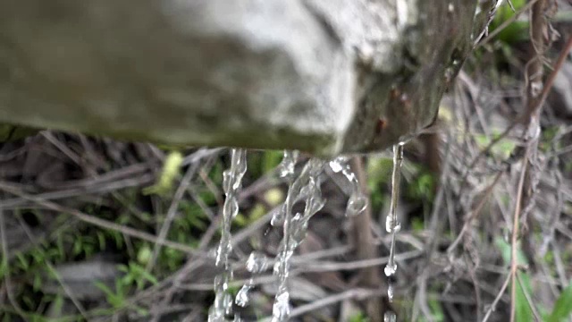 自然的春雨以慢动作落下视频素材