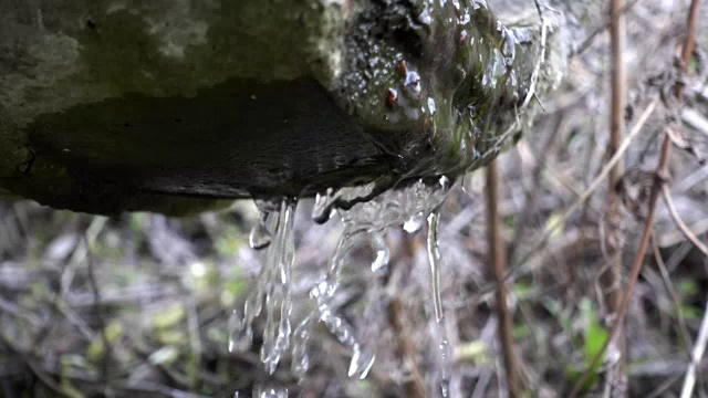 自然的春雨以慢动作落下视频素材