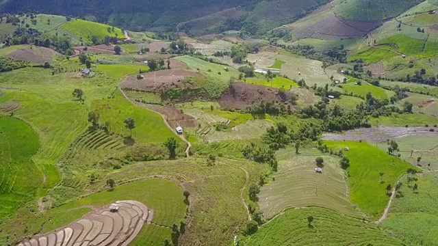 无人机拍摄的鸟瞰图，在泰国清迈Pa Pong Pieng山周围的稻田耕作，美丽的水稻梯田。视频素材