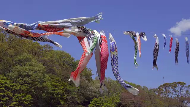 Koinobori(锦鲤形日本风筝)视频素材