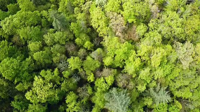 红河峡谷视频素材