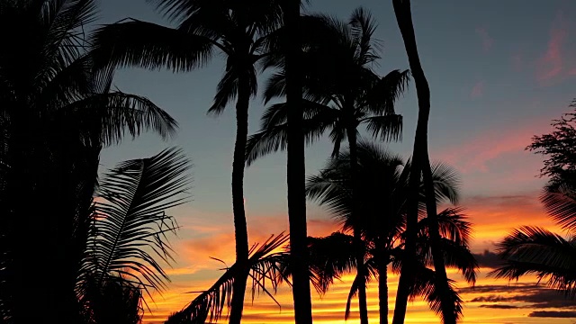 夏威夷毛伊岛的热带海滩日落视频素材
