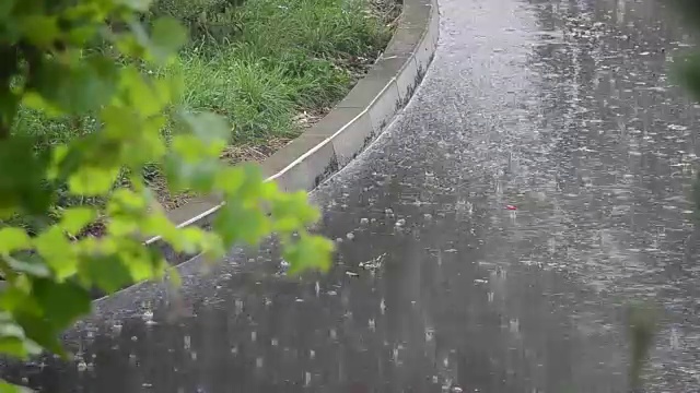 雨射击。在夏天拍摄。视频素材