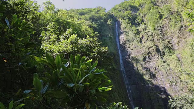 夏威夷毛伊岛Makahiku瀑布视频素材