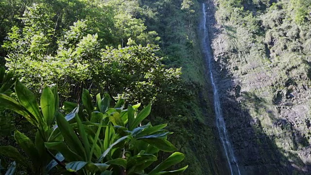 夏威夷毛伊岛Makahiku瀑布视频素材