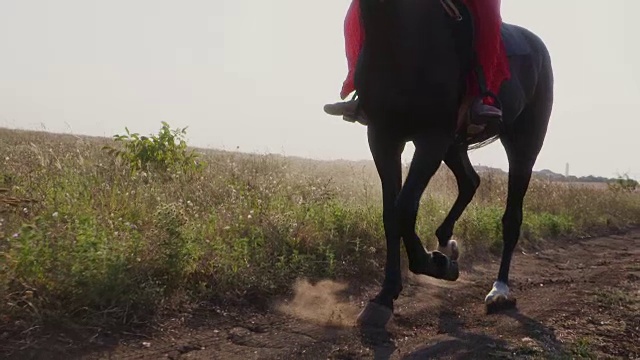 穿着红衣服的女孩骑着黑马在穿过田野的土路上。视频素材