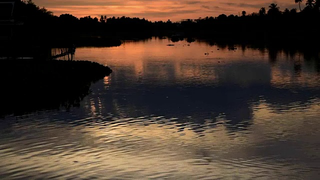 夕阳映照河面，鸟儿飞翔，大自然之美视频素材